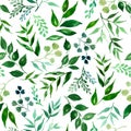 Seamless pattern of green leaves, herbs, tropical plant hand drawn watercolor. Fresh beauty rustic eco friendly background.