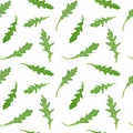 Seamless pattern with green leaves of rucola arugula. Vector hand drawn illustration.