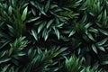 seamless pattern with green leaves on tree branches on black background Royalty Free Stock Photo