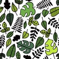 Seamless pattern. Green leaves of various plants isolated on white background. Royalty Free Stock Photo