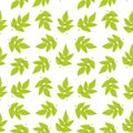 Seamless pattern with green leaves. Vector texture with fresh foliage.