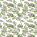 Seamless pattern with green leaves on white background. Tropical laves. Exotic summer pattern. Print, packaging, wallpaper, fabric