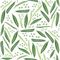 Seamless pattern Green pea. Hand painted watercolor. Handmade fresh food design elements isolated Royalty Free Stock Photo
