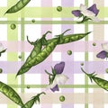 Seamless pattern with green pea pods, peas and purple flowers hand-painted in watercolor on a checkered background Royalty Free Stock Photo