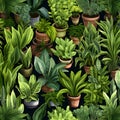 Seamless pattern with green plants in pots. Vector illustration