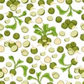 Seamless pattern of green radishes. Radish Margelan, Lobo, Chinese radish, green radishes of cartoon style. Root