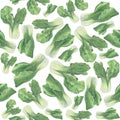 Seamless pattern Green Salad. Hand painted watercolor. Handmade fresh food design elements isolated Royalty Free Stock Photo