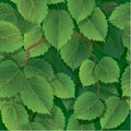 Seamless pattern with green spring leaves Royalty Free Stock Photo