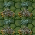 Seamless pattern of green stones and thistles