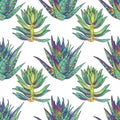 Seamless pattern green succulent cotyledon and opuntia home plant on white background. Art creative hand drawn object