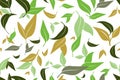 Seamless pattern with green tea leaves on white background. Hand painting on paper. May used in fabric, wrapping paper