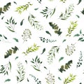 Seamless pattern with green tropical leaves plants eucalyptus Royalty Free Stock Photo