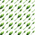 Seamless pattern of green unblown lotus buds on a white background.