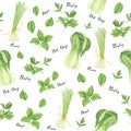 Seamless pattern of green vegetables with lettering: onion, parsley, basil and bok choy, watercolor painting.