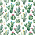 Seamless pattern with green watercolor cactus,succulents and multicolored flowers