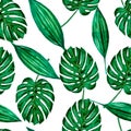 Seamless pattern green watercolor leaves.