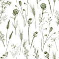 Seamless pattern with green wild herbs, wheat spikelets and poppy seed boxes.