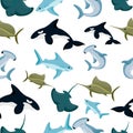 Seamless pattern of hammerhead and blue shark sphyrna manta orca illustration on white background website page and mobile a