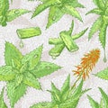 Seamless pattern with hand drawn Aloe vera lives and flower in green and red color isolated on gray craquelure