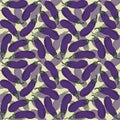 Seamless pattern with hand drawn aubergines on yellow backdrop