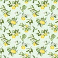 Seamless pattern with hand drawn blooming lemon tree branches