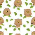 Seamless pattern hand-drawn cartoon cute owls.Light brown bird s