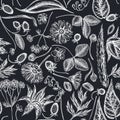 Seamless pattern with hand drawn chalk aloe, calendula, lily of the valley, nettle, strawberry, valerian Royalty Free Stock Photo
