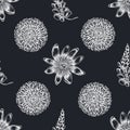 Seamless pattern with hand drawn chalk dandelion, ginger, passion flower