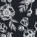 Seamless pattern with hand drawn chalk poppy flower Royalty Free Stock Photo