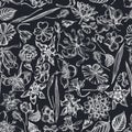 Seamless pattern with hand drawn chalk ylang-ylang, impatiens, daffodil, tigridia, lotus, aquilegia