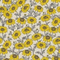 Seamless pattern from hand drawn chamomile, vector floral backgr