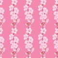 Seamless pattern with hand drawn cherry blossoms in vertical rows on a pink background Royalty Free Stock Photo