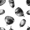 Seamless pattern with hand drawn chestnuts and acorns Royalty Free Stock Photo