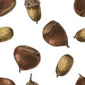 Seamless pattern with hand drawn chestnuts and acorns