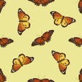 Seamless pattern with hand drawn colored cethosia biblis, danaus chrysippus Royalty Free Stock Photo