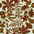 Seamless pattern with hand drawn colored fern, dog rose, rowan, ginkgo, maple, oak, horse chestnut, chestnut, hawthorn Royalty Free Stock Photo