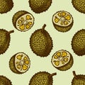 Seamless pattern with hand drawn colored jackfruit Royalty Free Stock Photo