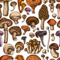 Seamless pattern with hand drawn colored oyster mushroom, champignon, honey agaric, shiitake, porcini, morel mushroom Royalty Free Stock Photo