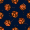 Seamless pattern with hand drawn colored physalis