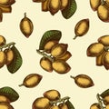 Seamless pattern with hand drawn colored pistachio, letters