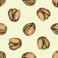 Seamless pattern with hand drawn colored pistachio