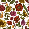 Seamless pattern with hand drawn colored poppy flower, gerbera, sunflower, milkweed, dahlia, veronica Royalty Free Stock Photo