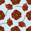 Seamless pattern with hand drawn colored poppy flower Royalty Free Stock Photo