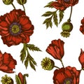 Seamless pattern with hand drawn colored poppy flower Royalty Free Stock Photo