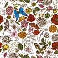 Seamless pattern with hand drawn colored shepherd`s purse, heather, iris japonica, sakura, gypsophila, chamomile, almond