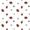 Seamless pattern with hand drawn colored strawberry, blueberry, red currant, raspberry, blackberry Royalty Free Stock Photo