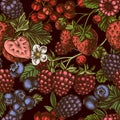 Seamless pattern with hand drawn colored strawberry, blueberry, red currant, raspberry, blackberry Royalty Free Stock Photo