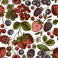 Seamless pattern with hand drawn colored strawberry, blueberry, red currant, raspberry, blackberry Royalty Free Stock Photo