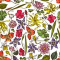 Seamless pattern with hand drawn colored ylang-ylang, impatiens, daffodil, tigridia, lotus, aquilegia