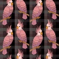 Seamless pattern, hand drawn colorful pink parrots on a dark checkered background. Print, wallpaper, bedroom decor Royalty Free Stock Photo